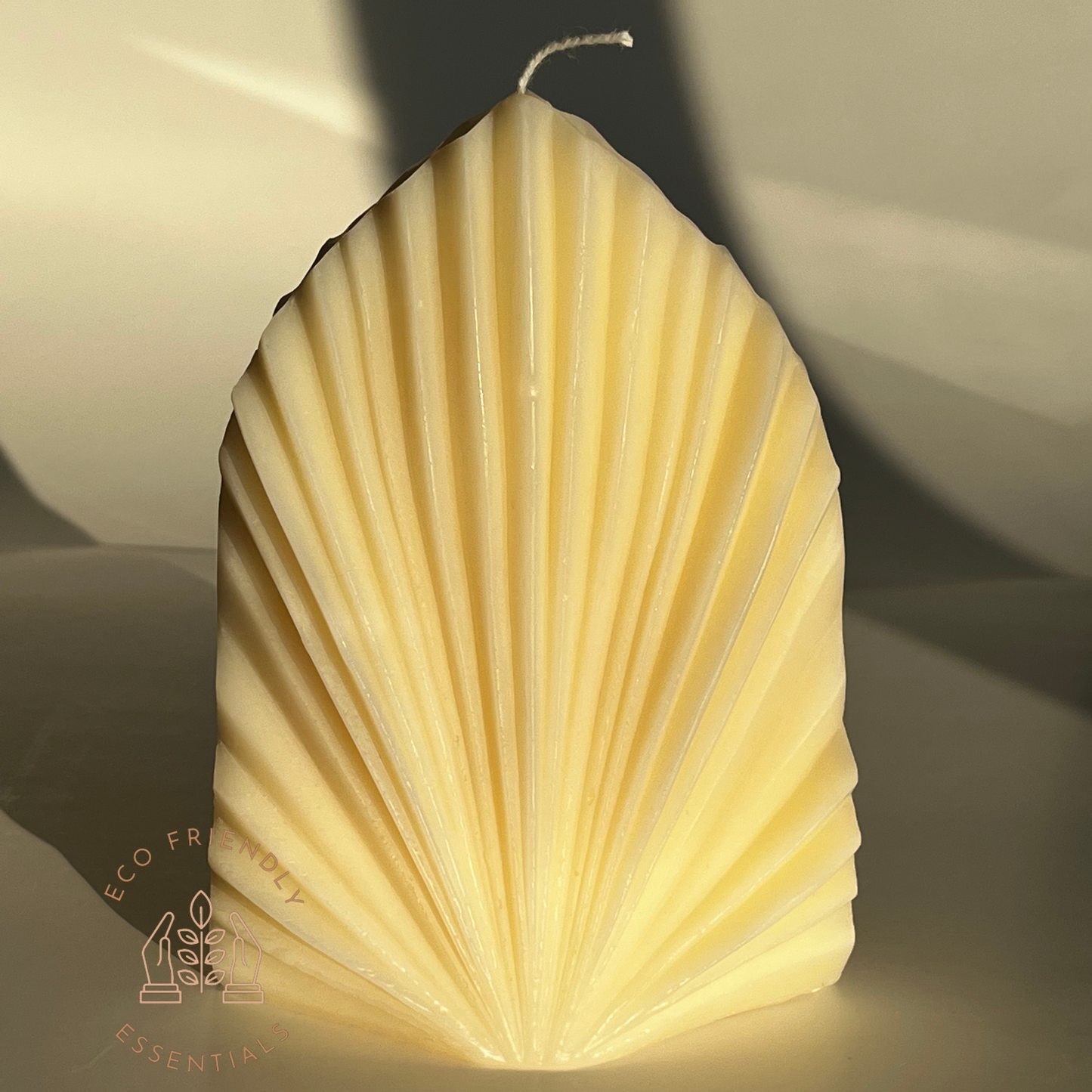 Oceanic Shell